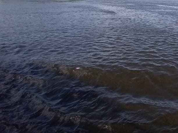 The Connecticut Department of Energy and Environmental Protection today announced that several lakes in eastern Connecticut are among the recipients of the sixth round of funding through the Aquatic Invasive Species Grant Program.