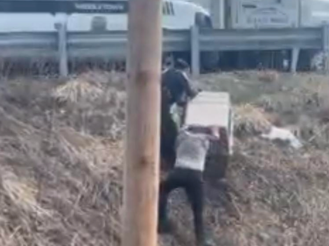 A heroic dog rescue was carried out in Middletown Wednesday, officials said. 