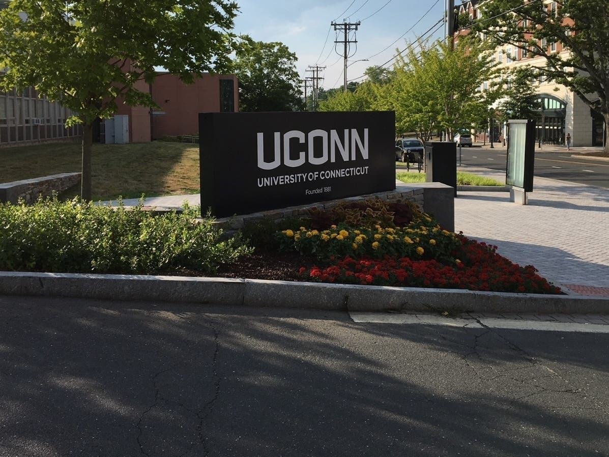 The University of Connecticut School of Business has announced the creation of a new endowed accounting professorship, supported through a collaboration with KPMG LLP.