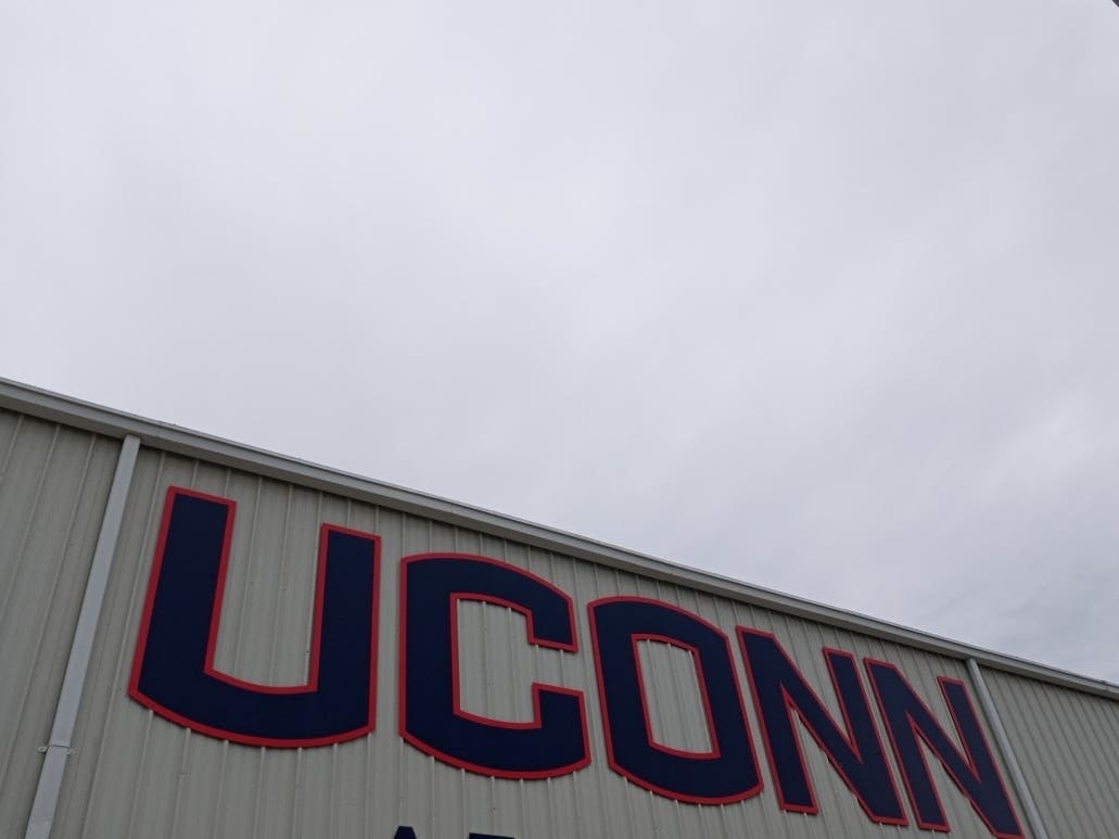 A look at UConn's graduating class. 