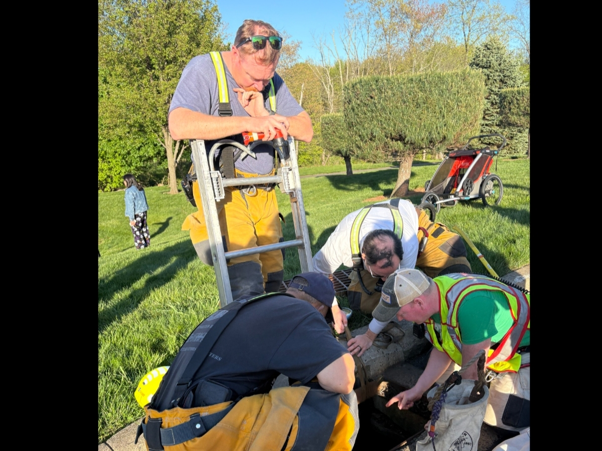 Vernon fire crews used confined space rescue protocols before pulling four ducklings from a drain.