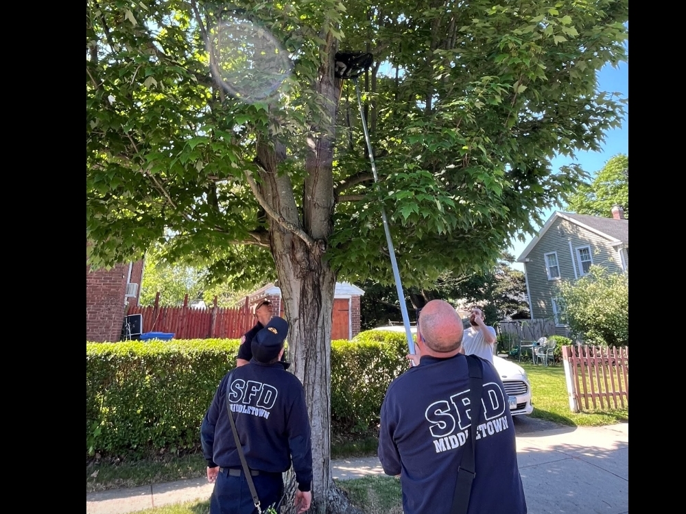 South Fire, Animal Control Pull Off Good Old-Fashioned Cat Rescue In Middletown 