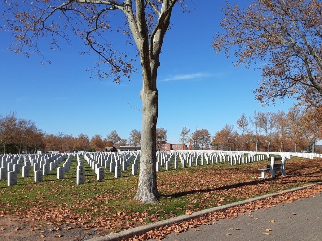 The state vets cemetery in Middletown.
