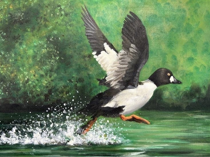 Mansfield resident Megan Song's work, was selected as Best of Show in the 2026 Connecticut Junior Duck Stamp Art Competition.