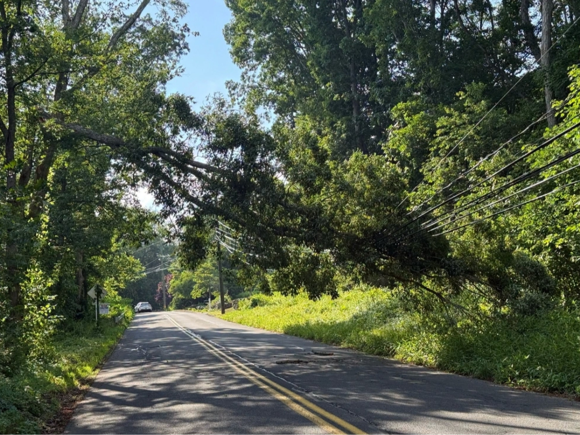 Felled wires, like these on Old Post Road, kept firefighters in Tolland busy Thursday.