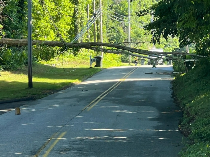 A Tree fell on Sugar Hill Road in Tolland Thursday.