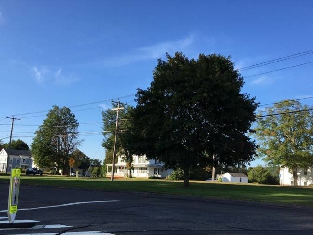 Signs with intolerant tones have emerged in Tolland over the "past couple of days," the town manager said. 