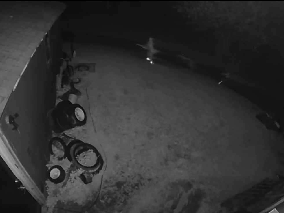 Shadowy figures in the Tolland night are shown on a surveillance camera stealing dirt bikes.
