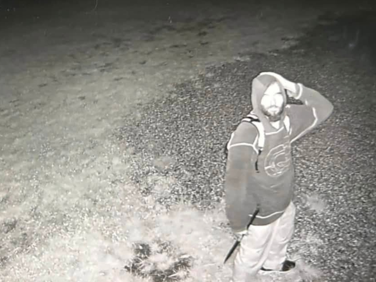 A surveillance image of a suspect in a burglary at the Nathan Hale Homestead.  