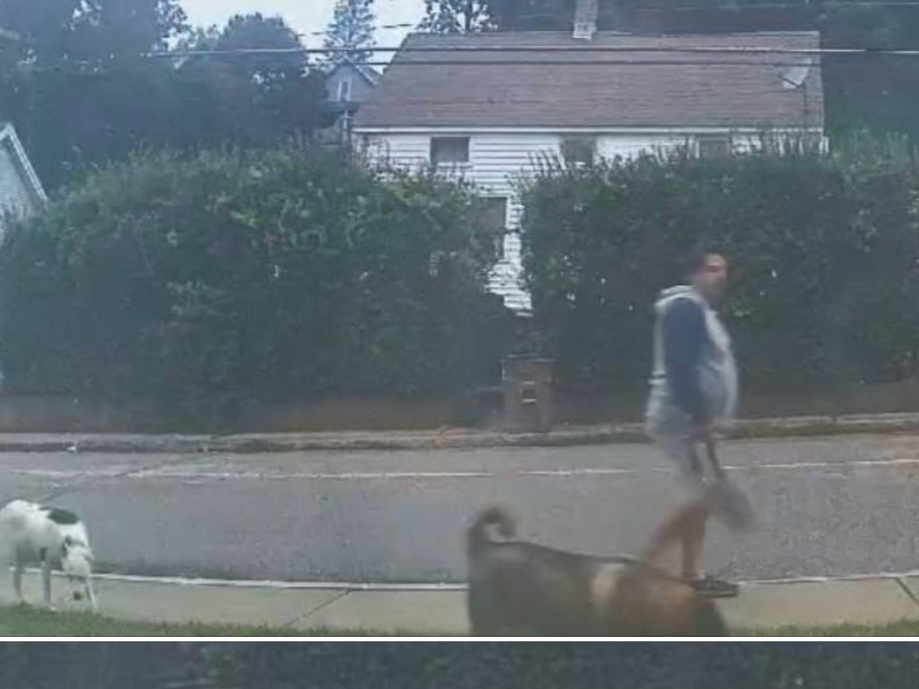 Vernon Animal Control want "to speak" to a suspected negligent dog owner. 