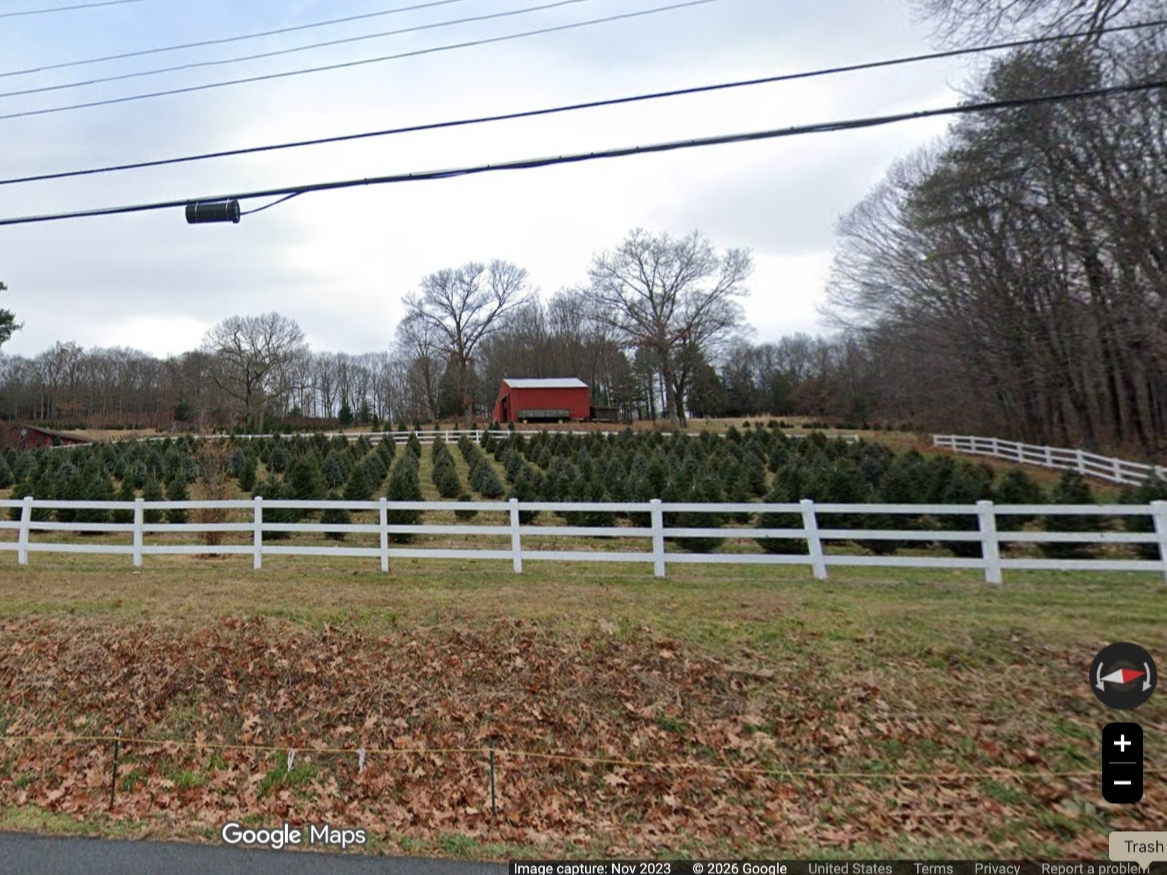 Hickory Ridge Tree Farm was named Grand Champion at the Big E Christmas Tree competition.
