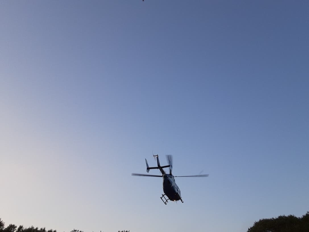 An accident involving a tree led to a medevac situation in Stafford Tuesday. 