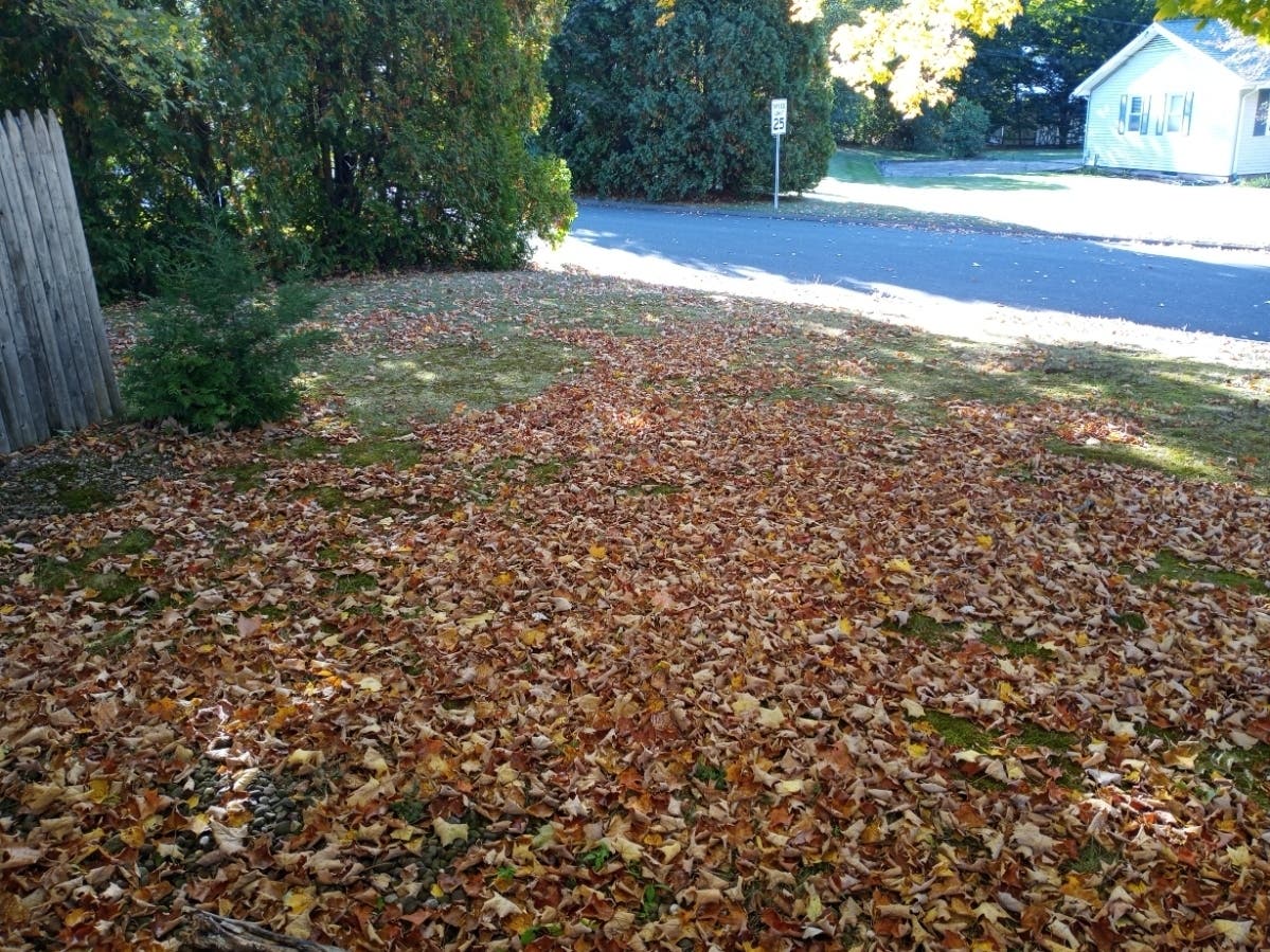 Manchester's leaf collection program is slated to begin Monday, Nov 9.