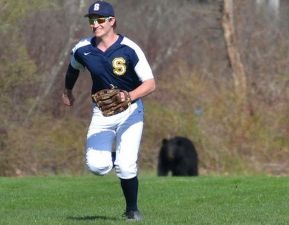 https://patch.com/img/cdn20/users/103650/20180502/022513/styles/raw/public/processed_images/bear_at_simsbury_baseball_1-1525285455-9309.jpg