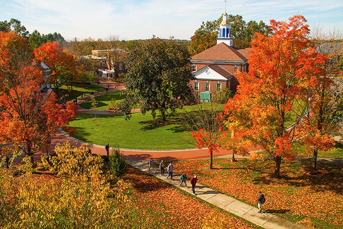 Western New England University.