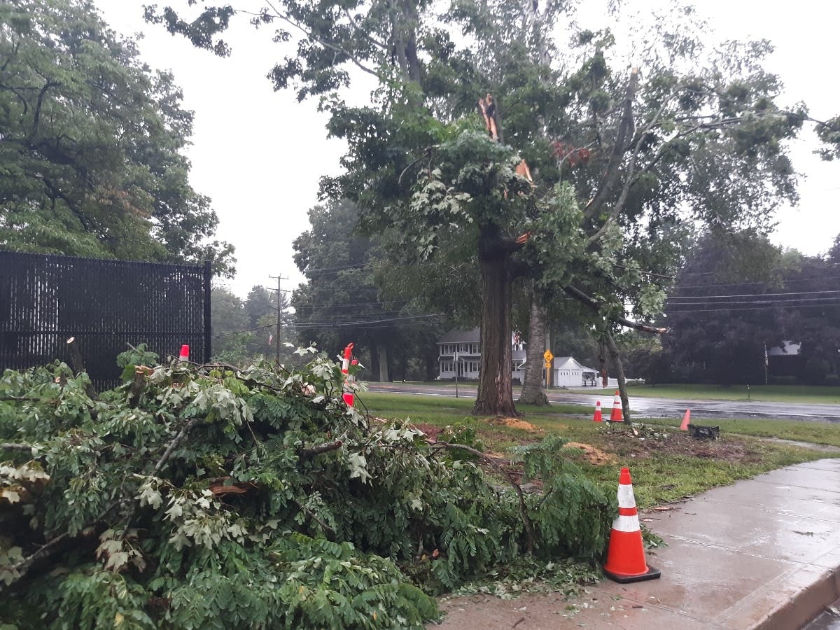 At the entrance to Enfield High School on Route 5, one large tree is completely gone and another has sustained considerable damage due to heavy rainfall brought on by Tropical Storm Elsa.
