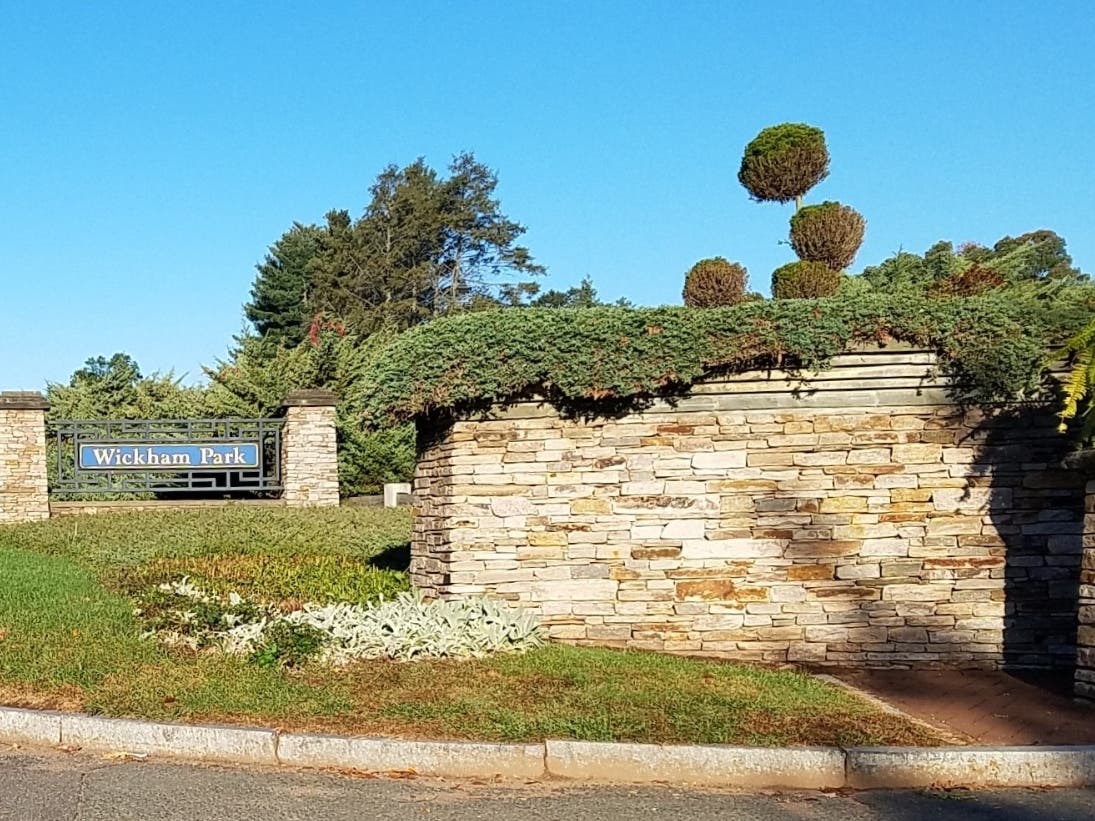 A dozen high school cross country championship races were contested Monday at the famous "Green Monster" at Wickham Park in Manchester.