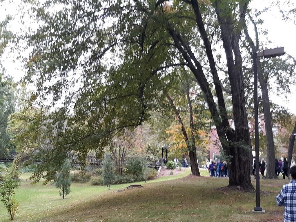 University of Hartford campus.