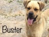 Buster