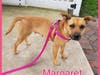 Margaret