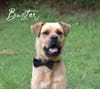 Buster
