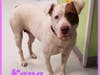 Mama to be Kana