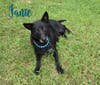 Janie