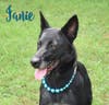 Janie