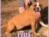 Petra
