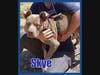 Skye