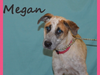 Megan