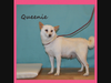 Queenie
