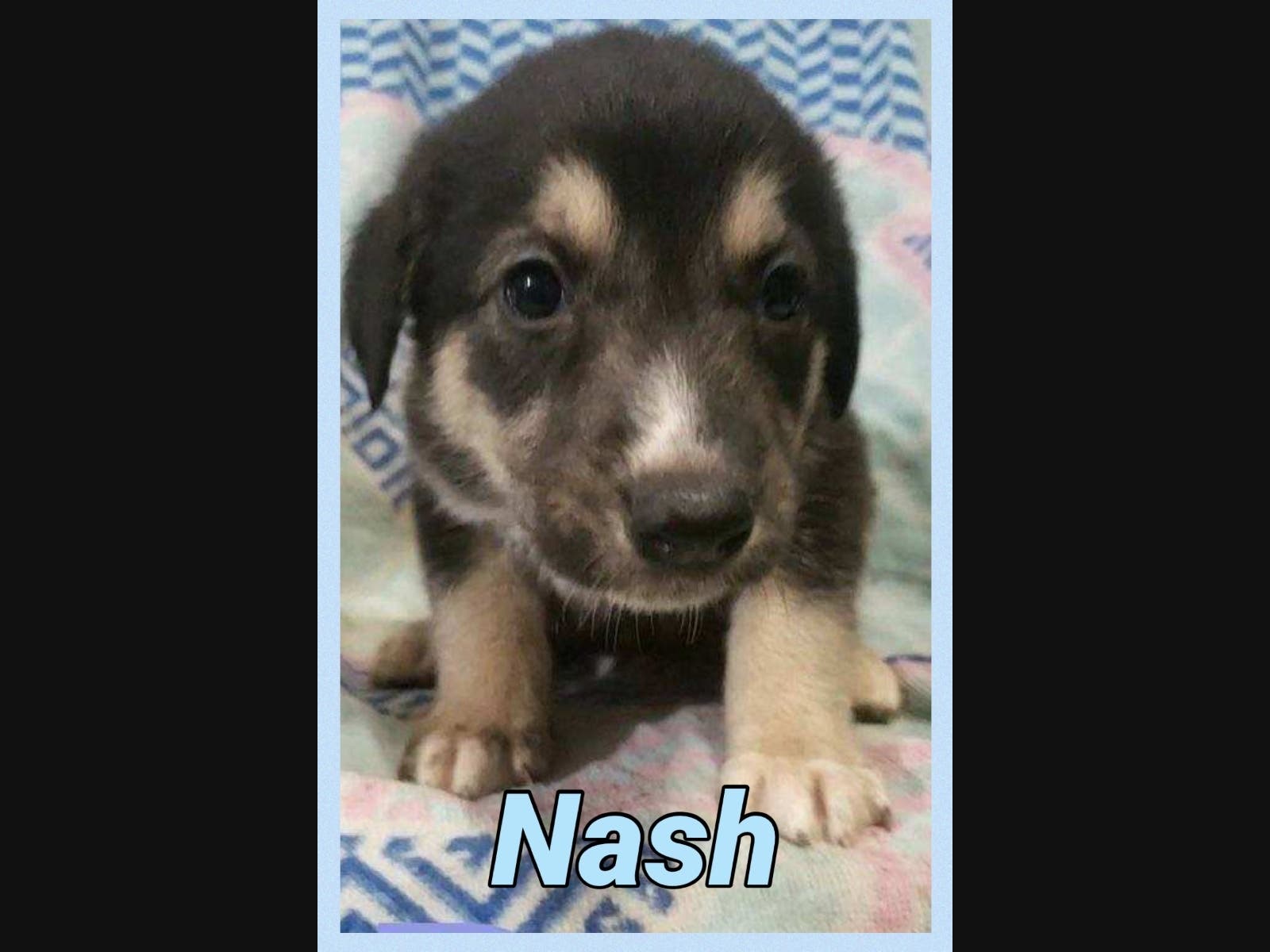 News small post card thumbnail