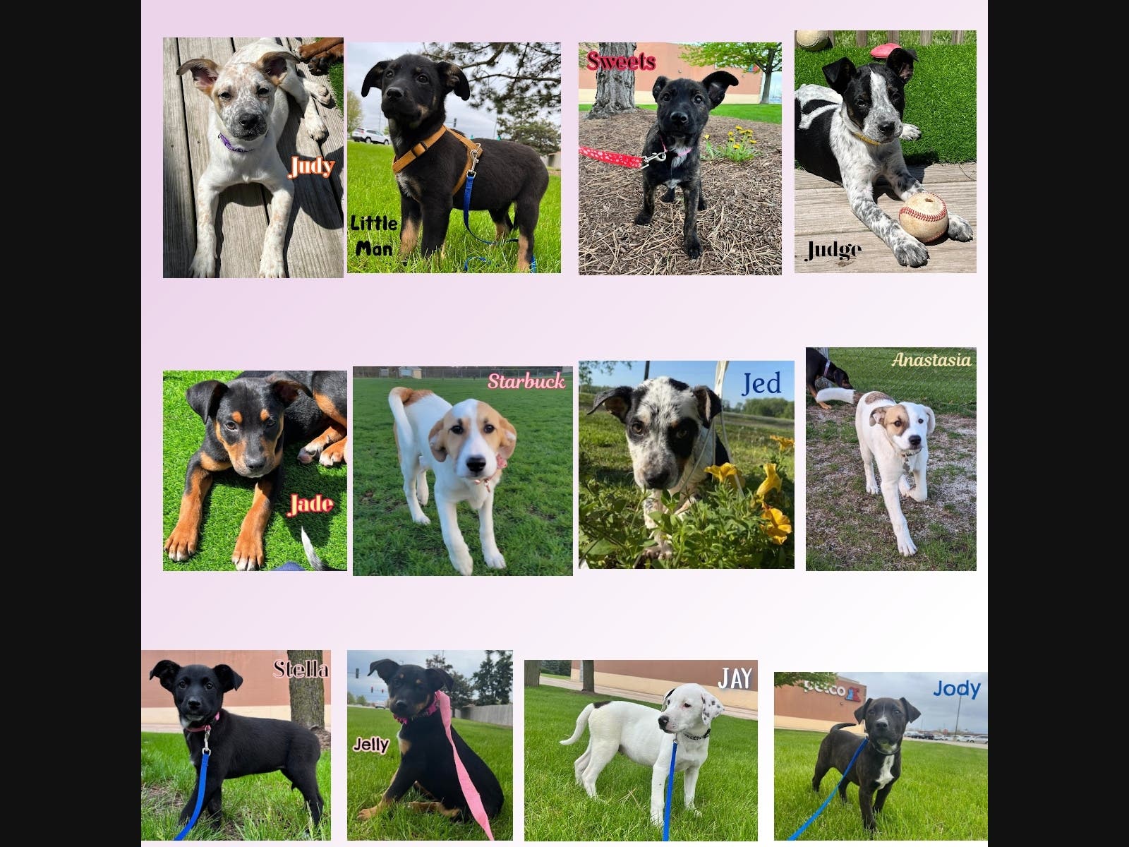 News small post card thumbnail