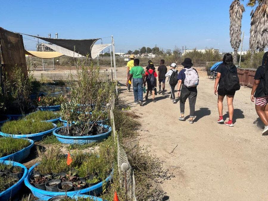 Free, Guided Nature Walk