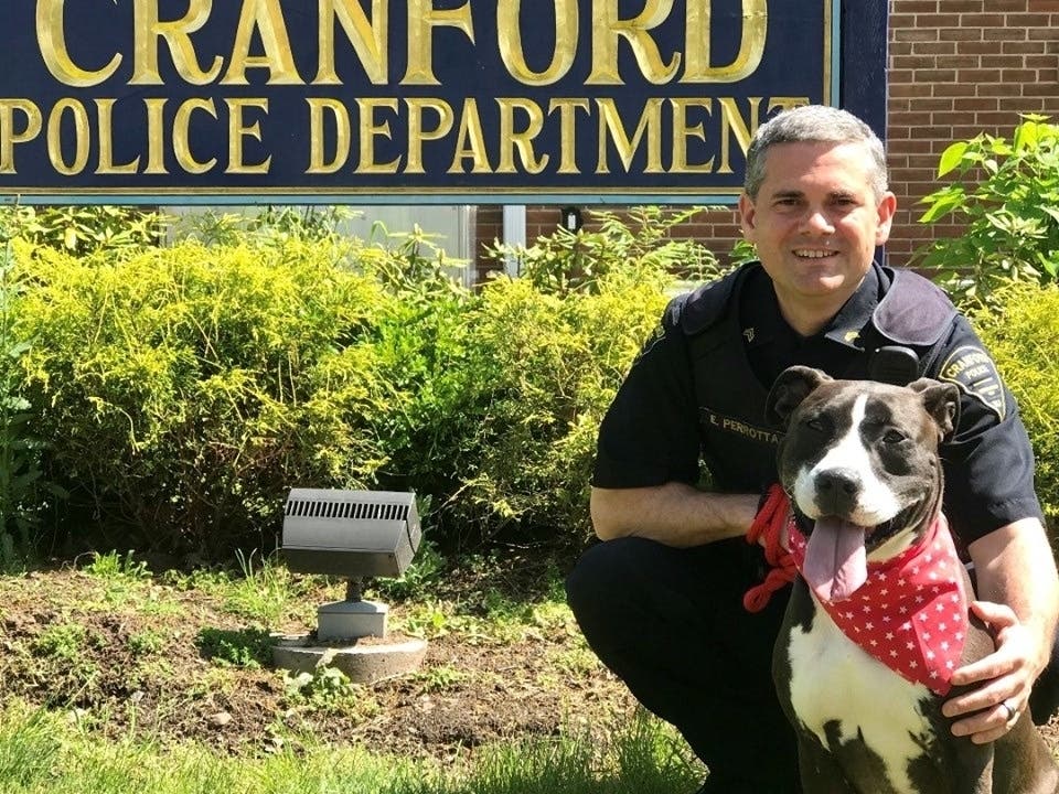 The Cranford Police Department has partnered with Friends of Linden Animal Shelter to help this rescue dog find a home.