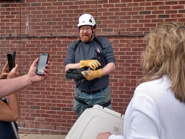 Trapped Raven Rescued By Madison Responders (Photos) | Madison, NJ Patch