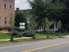 Main Street between Prospect Street and Rosedale Avenue are looking a little greener. 