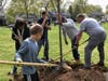 The planting was made possible by Rotary Club of Westfield and the Jefferson School community. 