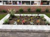 Southern Boulevard PTO had sensory gardens, planter boxes and a new brick walk. 