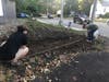 Jake Simonetti of Troop 121 installed the bench at the corner of Buxton Road and Southern Boulevard. 