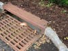  Braving the tight squeeze, and possibly Pennywise, they effected rescue. 