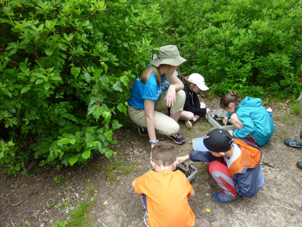 Campers exploring pond life
