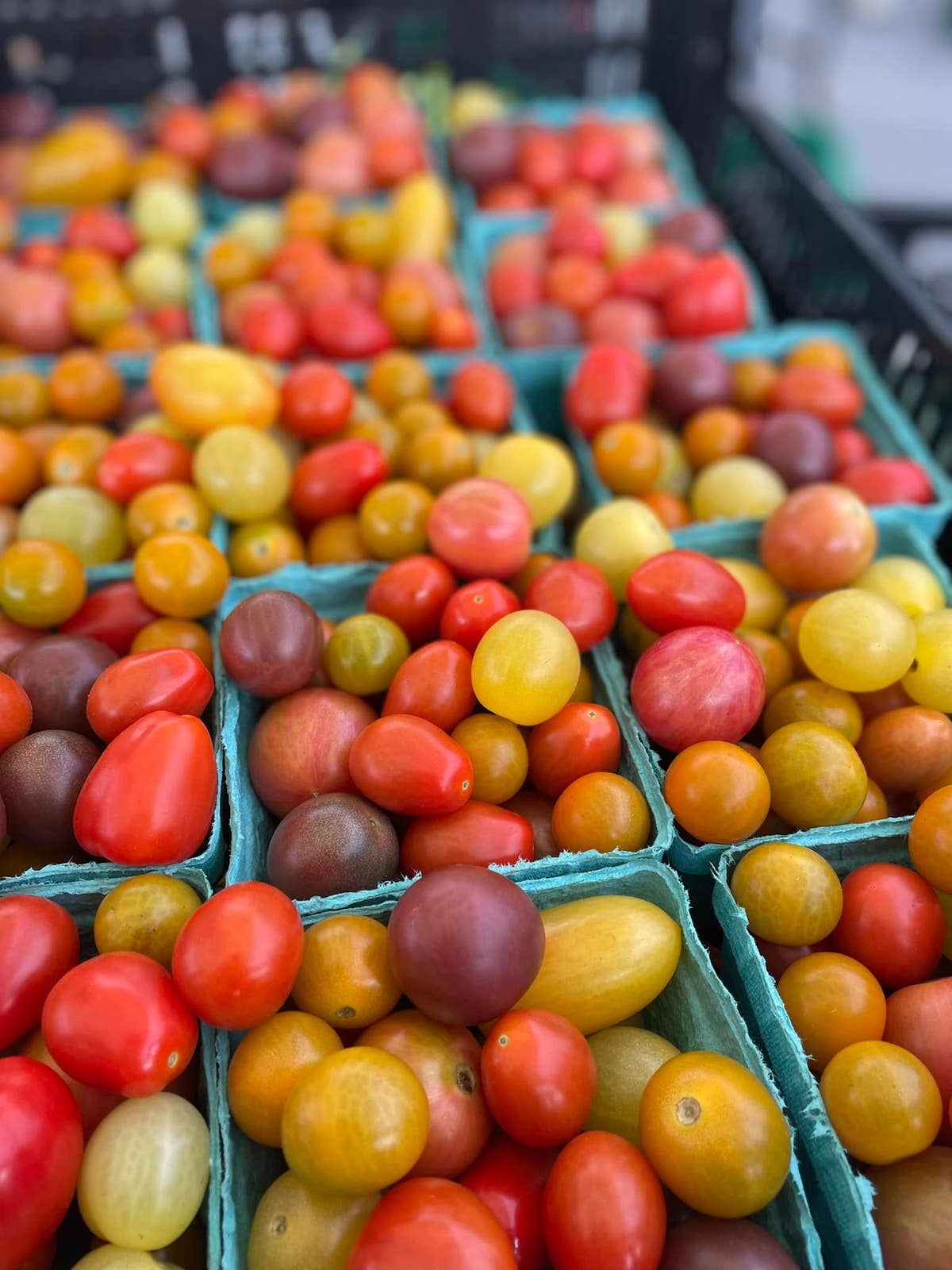 Down to Earth Morningside Park Farmers Market