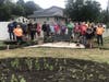 Over 55 Sterling volunteers came out to establish planting beds (Helen Casey Memorial Butterfly Garden) by cut stripping the sod, edging garden beds, tilling the soil and planting 400 native seedling plugs.