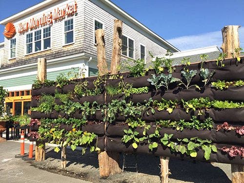 News small post card thumbnail