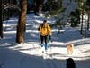 Learn about Cross-Country Ski Trails - Norfolk has miles of them!