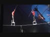 Sheffield Island Circus