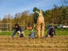 Husky Meadows farm Norfolk spring planting greenhouse post and beam construction