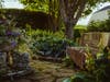 Wander spectacular gardens